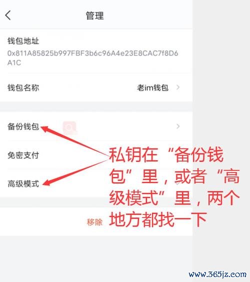 imtoken钱包安卓版下载及其用户反馈分析 在imToken钱包官网获取技术支持的详细操作步骤全解析